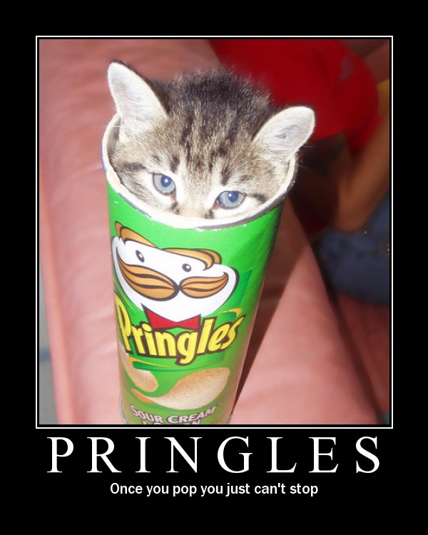 cat_pringles.jpg